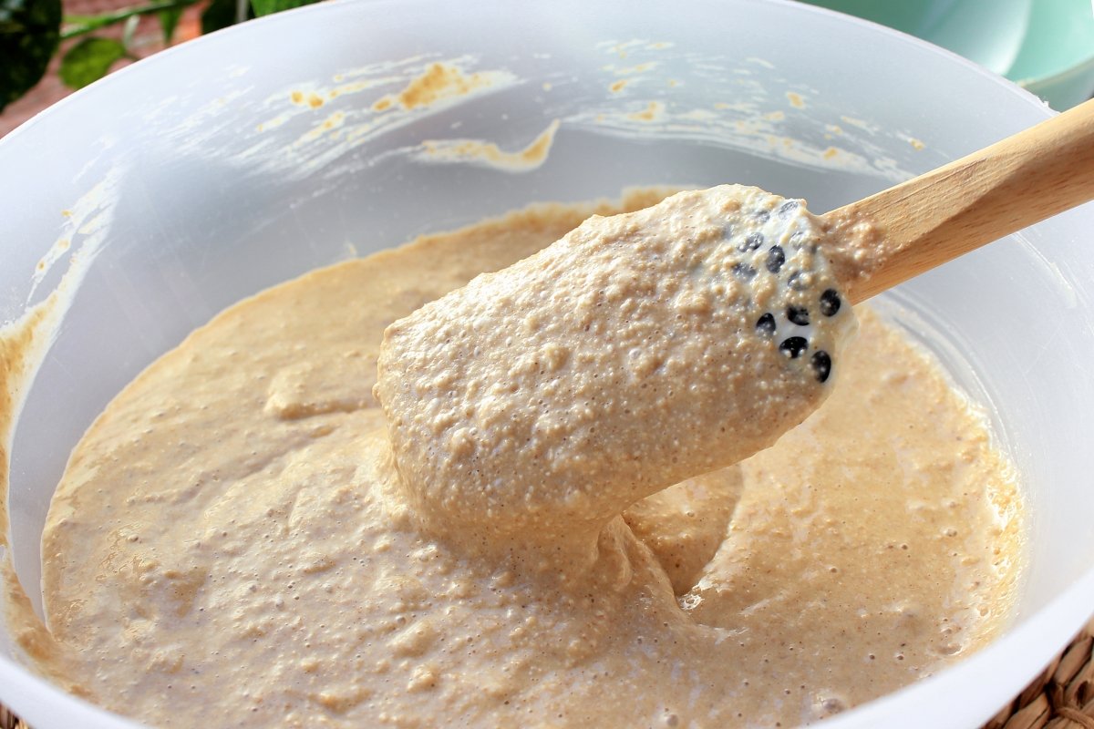 Oatmeal pancake dough texture