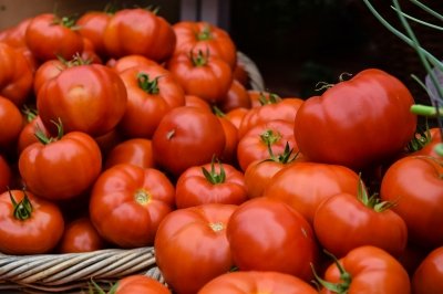 Cómo aprovechar las pieles de tomate en la cocina