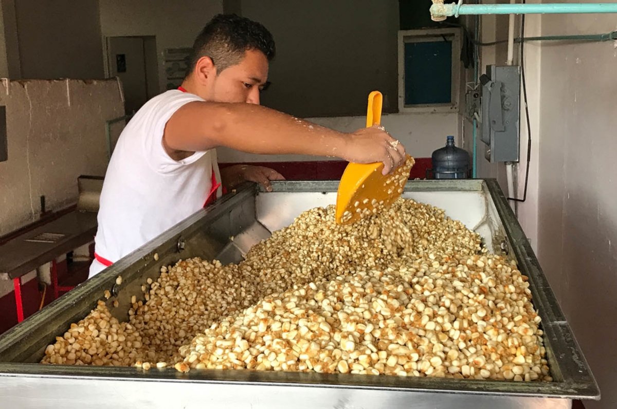 Trabajador en pleno proceso de nixtamalización del maíz