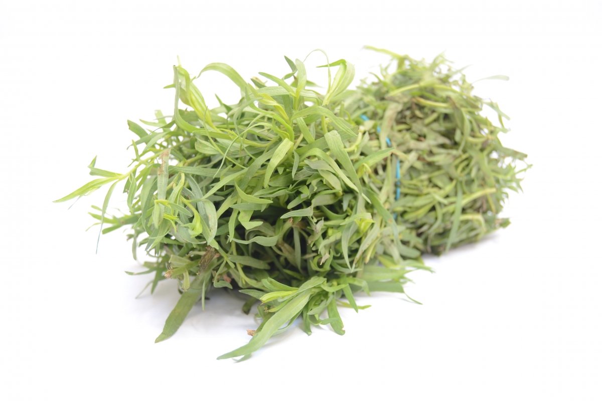 Un manojo de la hierba aromática estragón fresca