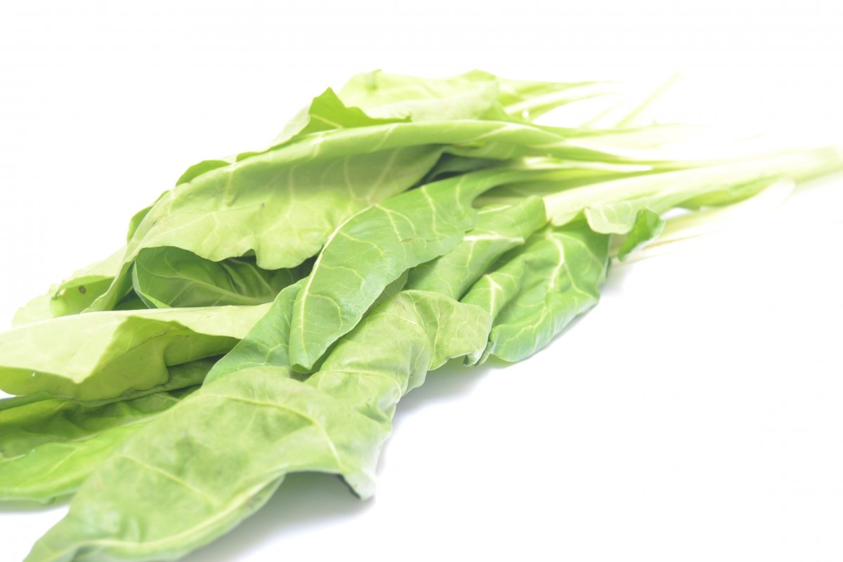 Un ramillete de acelgas frescas y listas para usar en cocina