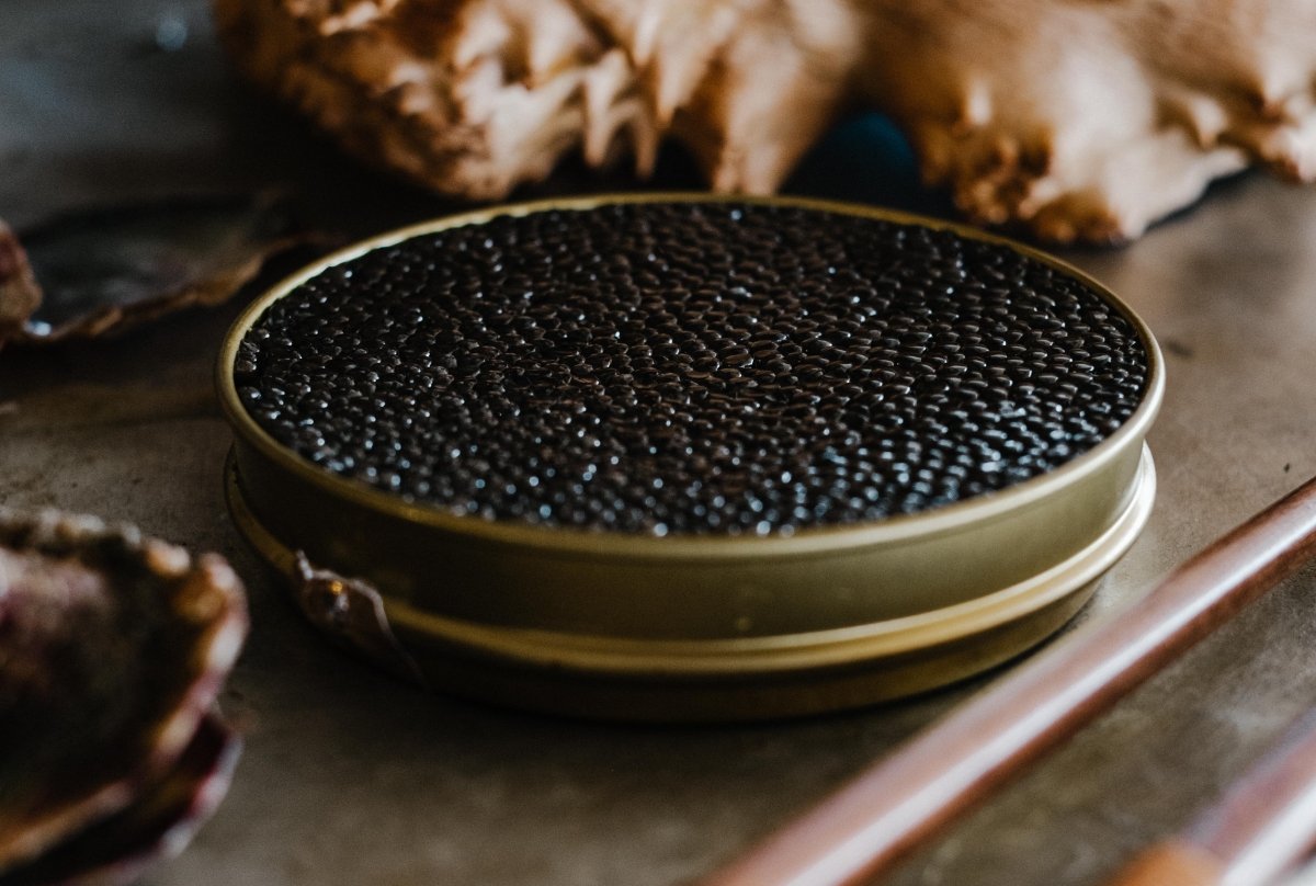 Una lata de caviar de esturión listo para degustar
