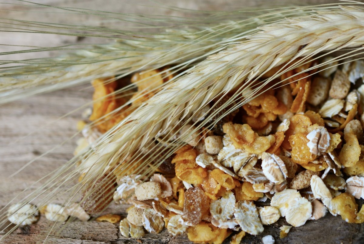 Una mezcla de cereales que son fuente de gluten con frutos secos
