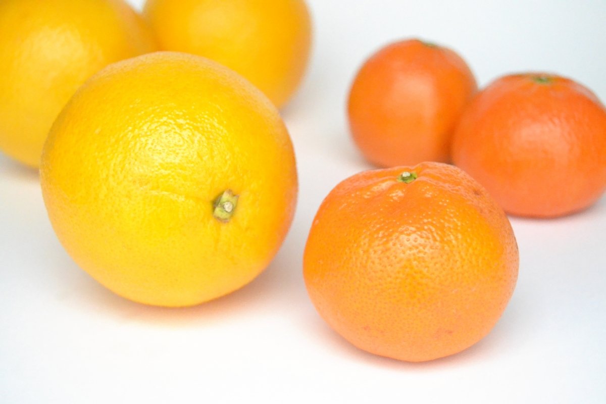 Varias naranjas y mandarinas listas para comer