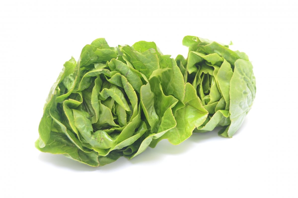 Verdura de hoja verde conocida como lechuga