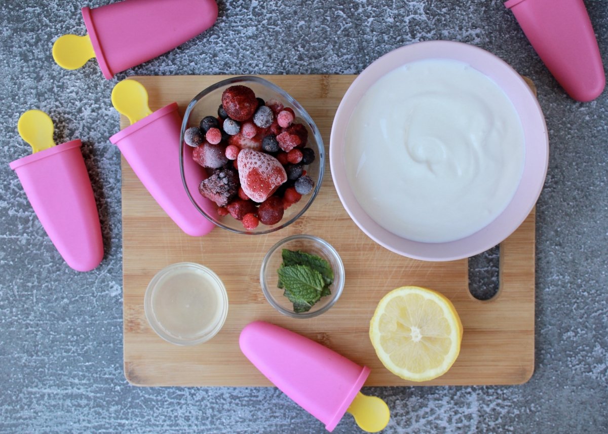 View of the necessary ingredients to make Greek yogurt and red fruit popsicles