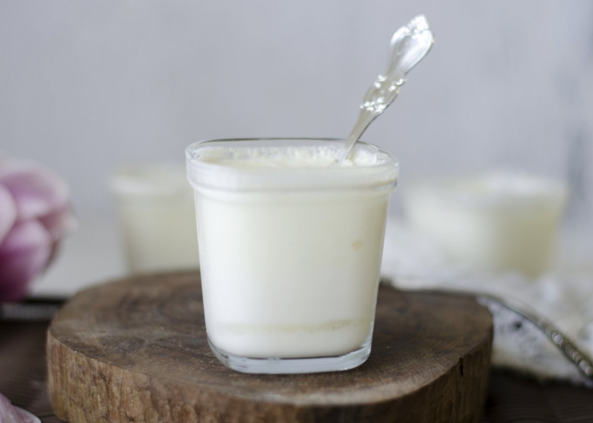 Yogur Natural Casero Recipe Cart Recipe Cart Yogur Natural Casero Recipe Cart Recipe Cart