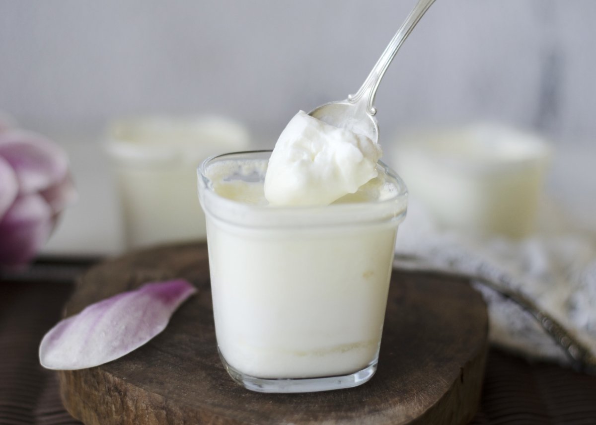 Yogur Natural Casero C mo Hacerlo F cil Y R pido Paso A Paso Yogur Natural Casero C mo Hacerlo F cil Y R pido Paso A Paso