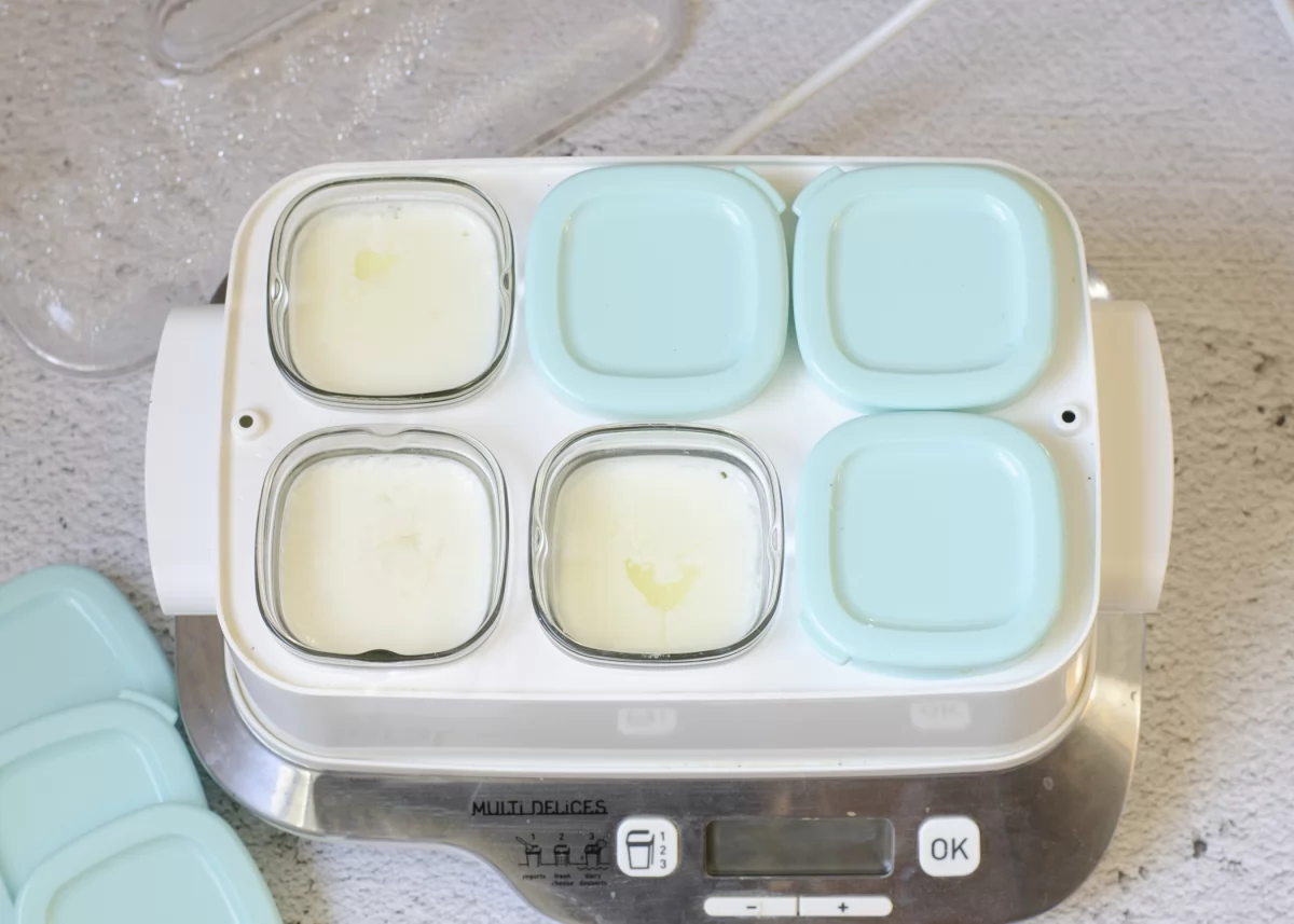 Yogures listos para ir a la nevera