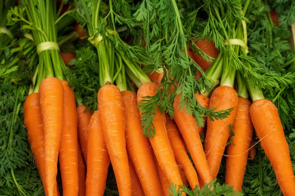 Zanahorias a la venta en un mercado de hortalizas y verduras